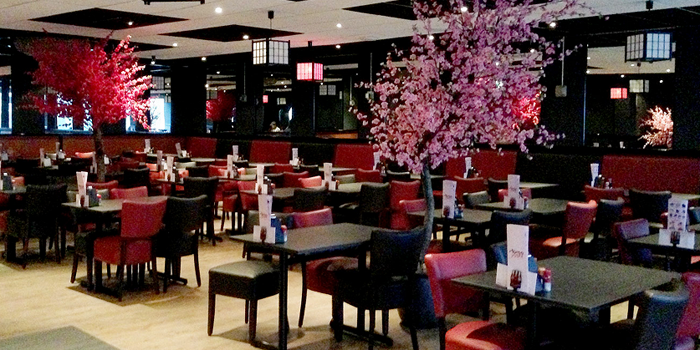 Café-Möbel der Extraklasse bei Okido